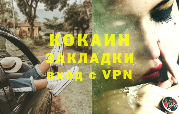 индика Билибино