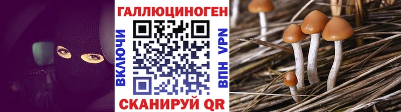 Псилоцибиновые грибы ЛСД  Новое Девяткино 